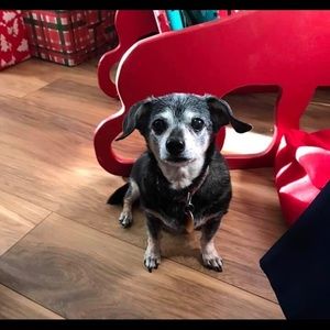 Meet your Posher, Marcie